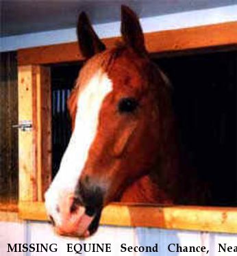MISSING EQUINE Second Chance, Near Reading, PA, 00000